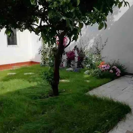 Tatil Evi Citrus Hideaway - Your House In Viareggio *