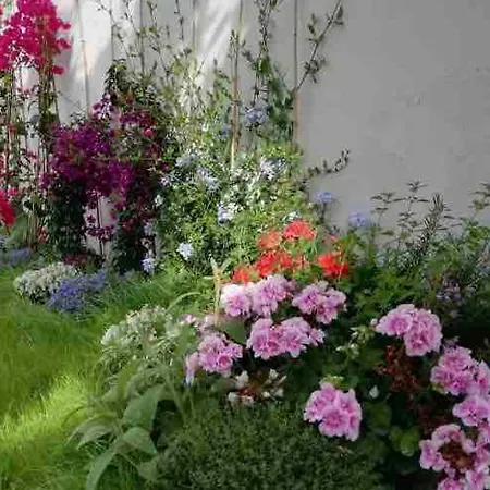 Tatil Evi Citrus Hideaway - Your House In Viareggio