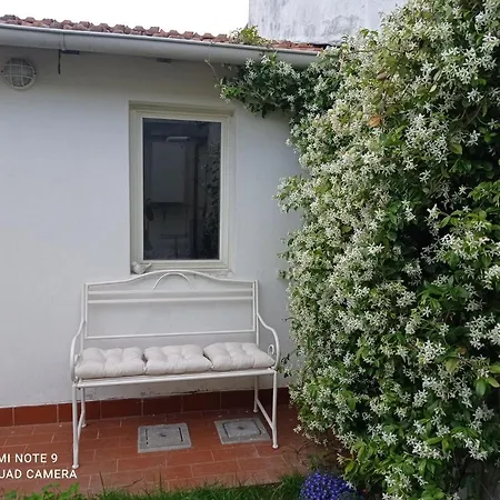 Citrus Hideaway - Your House In Viareggio Tatil Evi