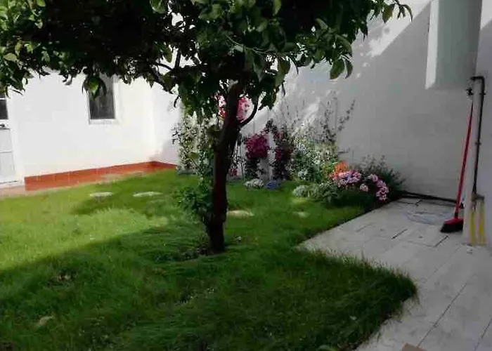 Ferienhaus Citrus Hideaway - Your House In Viareggio *