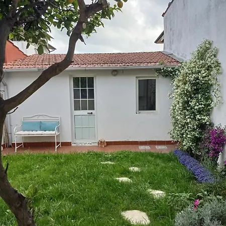Vakantiehuis Citrus Hideaway - Your House In Viareggio Viareggio