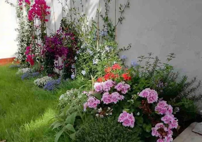 Holiday home Citrus Hideaway - Your House In Viareggio